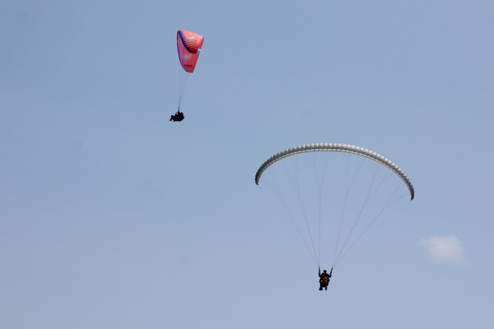 Las Palmas: Tandem Paragliding Flights for Everyone - Experience Overview