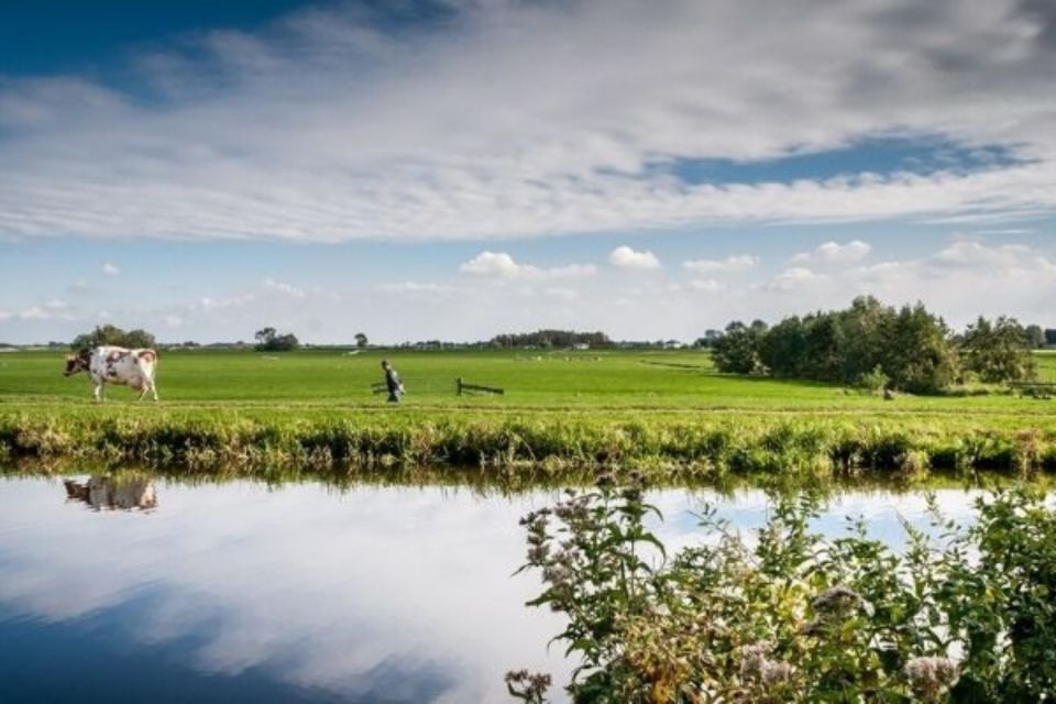 Leiden: Windmill and Countryside Cruise Near Keukenhof - Experience Details