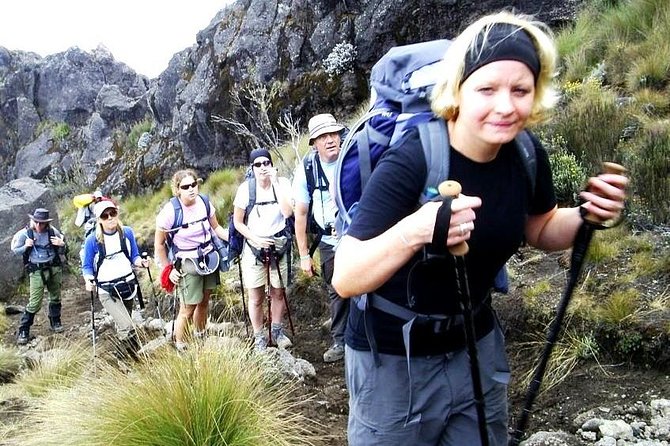 Lemosho Route 8 Days 7 Nights/Kilimanjaro Climb - Inclusions