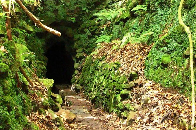 Levada Do Caldeirão Verde Levada Walk From Funchal - Exploring Ancient Forests and Streams