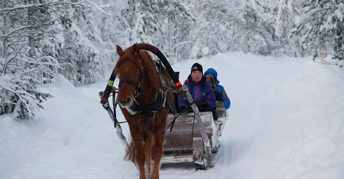 Levi, Polar Lights Tours: One Horse Open Sleigh Ride - Intimate Encounter With Laplands Beauty