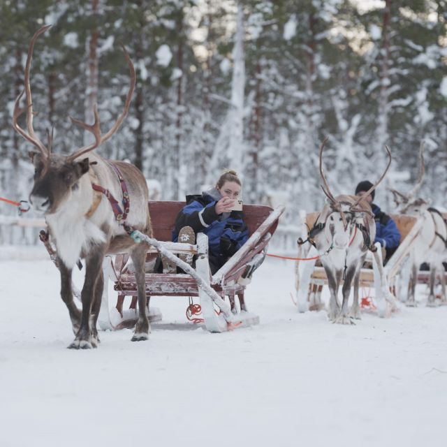 Levi Polar Lights Tours: Reindeer and Husky Safari - Itinerary Details