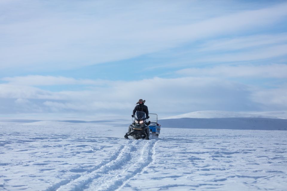 Levi: Snowmobiling Adventure - Pricing and Booking