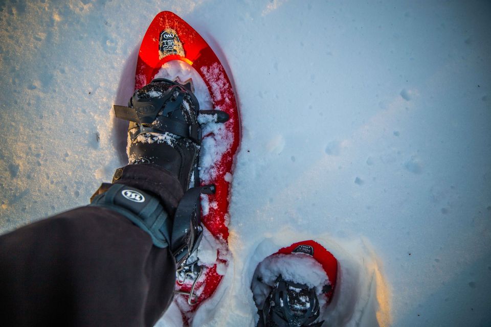 Levi: Snowshoe Adventure in the Wilderness - Snowshoeing in the Arctic