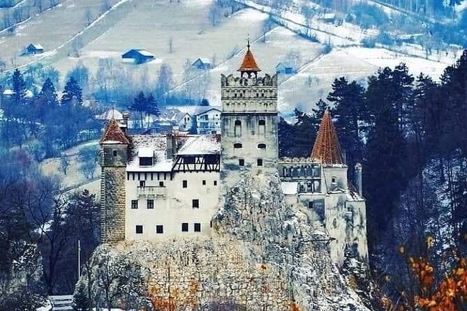 Libearty Brown Bear Sanctuary, Rasnov Fortress, Bran Castle Day Tour From Brasov - Transportation and Logistics