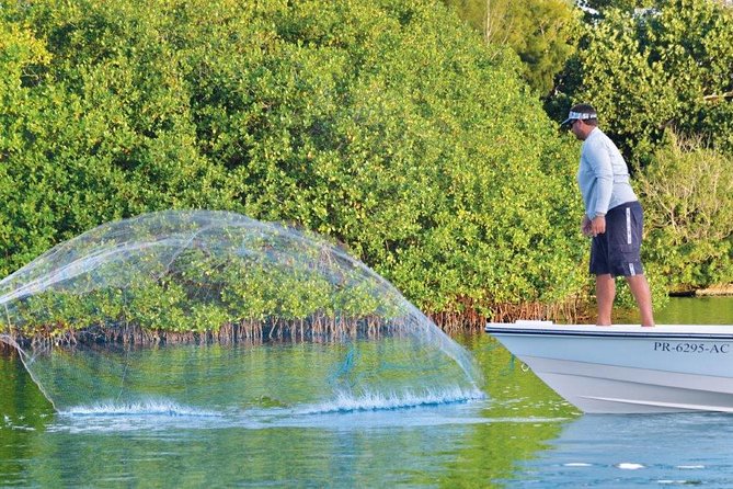 Light Tackle Tarpon Fishing - Activities and Experiences