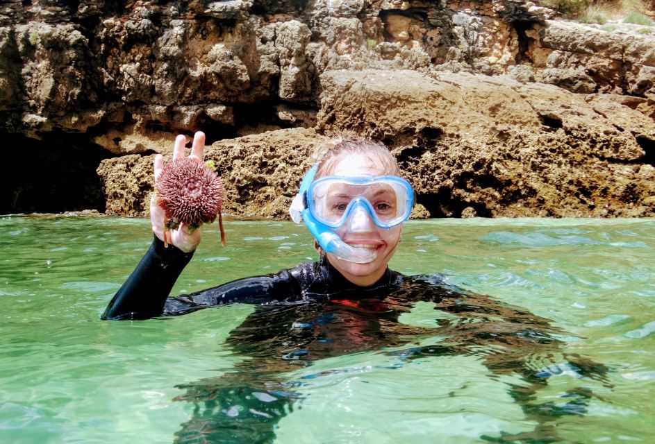 Lisbon: Arrábida Snorkeling Adventure - Highlights of the Experience