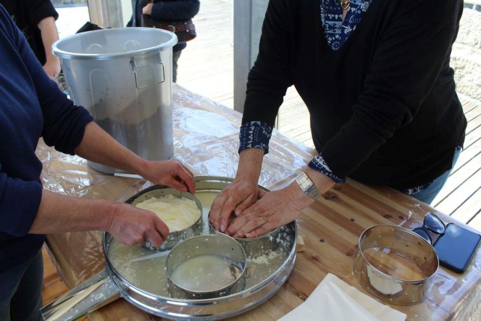 Lisbon: Azeitão Cheese Workshop With Wine & Food Tasting - Livramento Market in Setúbal