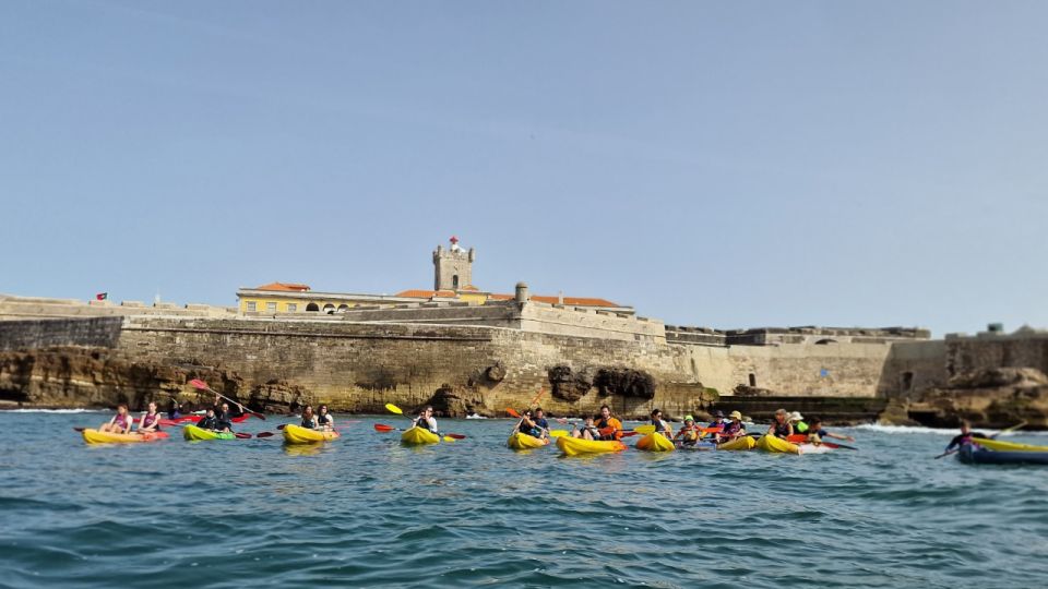 Lisbon Coast Guided Kayak Tour - Experience Highlights