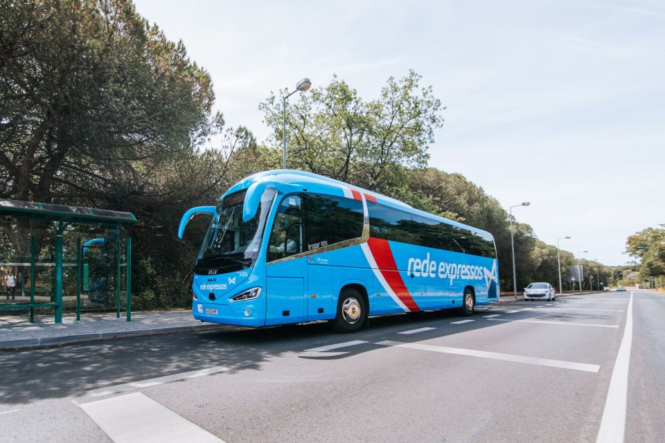 Lisbon: Lisbon Oriente To/From Portimao City Center by Bus - Onboard Experience