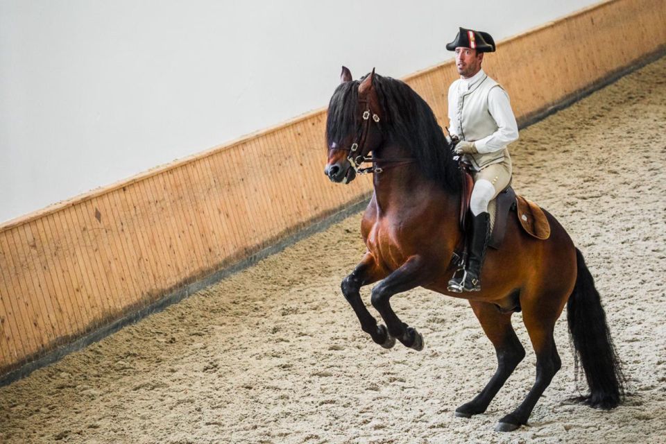 Lisbon: Portuguese Riding School Trainig With Lusitano Horse - Experience Highlights