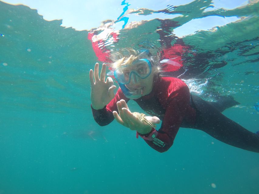 Lisbon: Snorkeling in Sesimbra/Arrábida Natural Park - Highlights