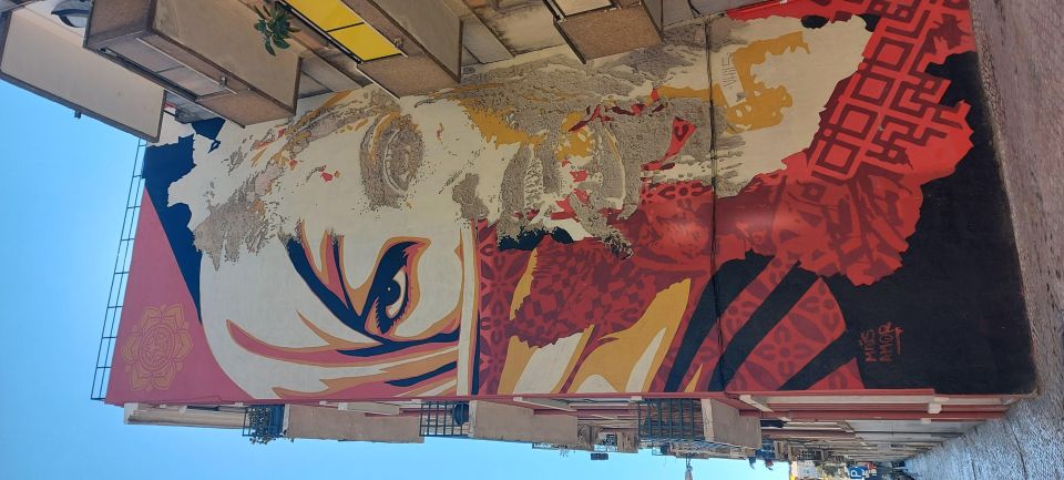 Lisbon Street Art Lovers Walk - Experience Highlights