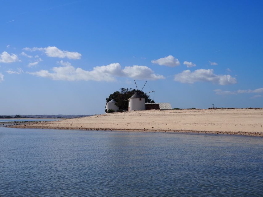 Lisbon: Tagus Estuary Nature Reserve Birdwatching Boat Tour - Itinerary Highlights