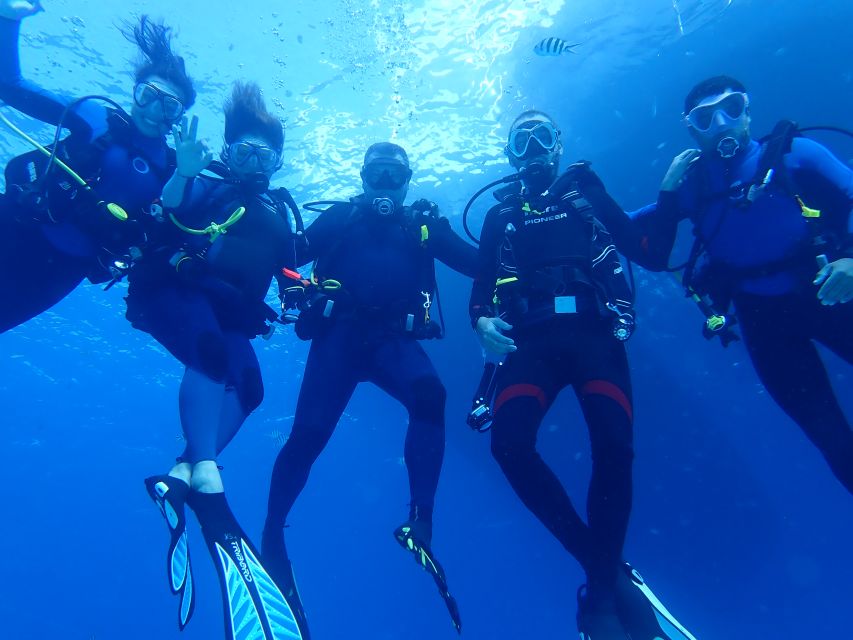 Lisbon: Try Diving in Arrábida Natural Park and Marine Reserve - Explore the Reef and Coral Gardens