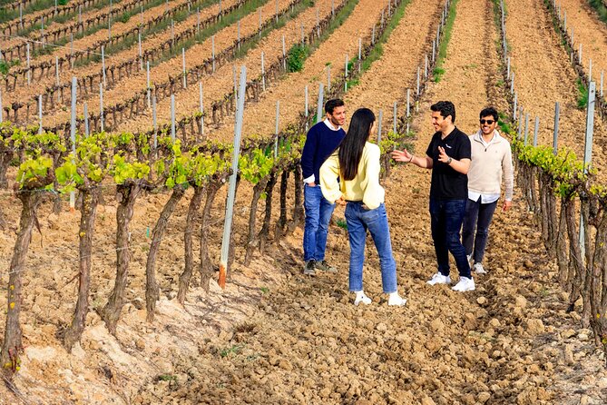 Lisbon Wine Experience With 4WD Tour & Wine Tasting - Exceptional Wines and Cellar Tour