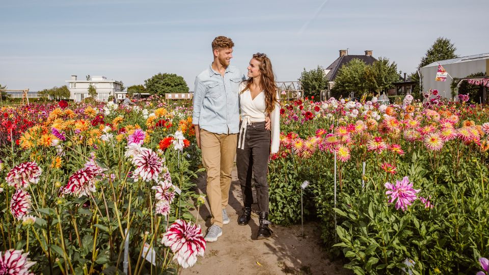 Lisse: Drive-it-Yourself Summer Flower GPS Audio Tour - Experience Highlights