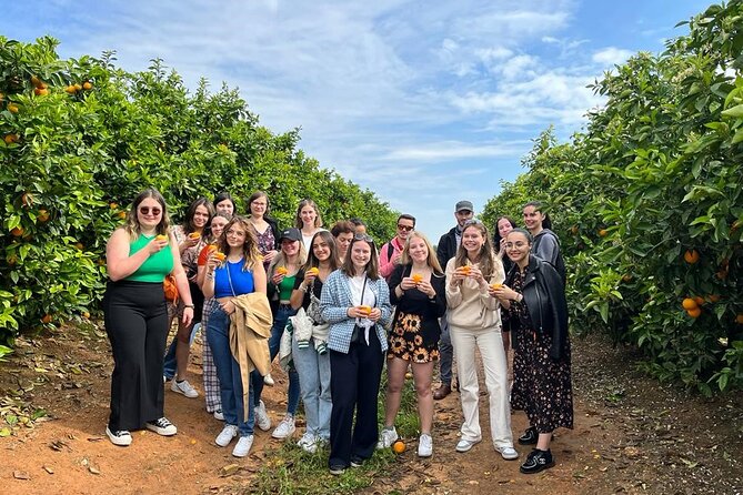 Live an Experience Among Orange Trees in Huerto Ribera - Schedule and Pricing