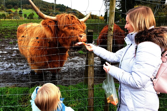 Loch Ness, Glencoe and the Highlands Private Luxury Day Tour - Exploring Loch Ness