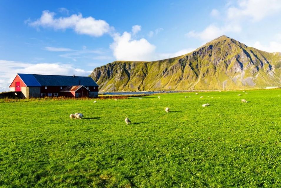 Lofoten Islands: Road Bike Scenic Tour - Breathtaking Scenery