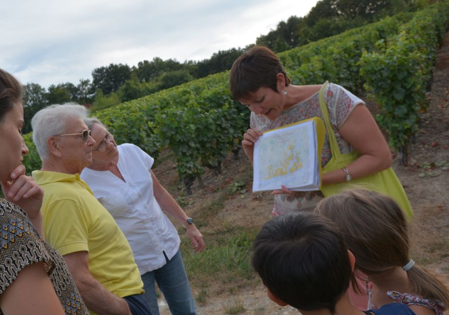 Loire Valley: Vouvray Vineyard Tour and Wine Tasting - Tour Highlights