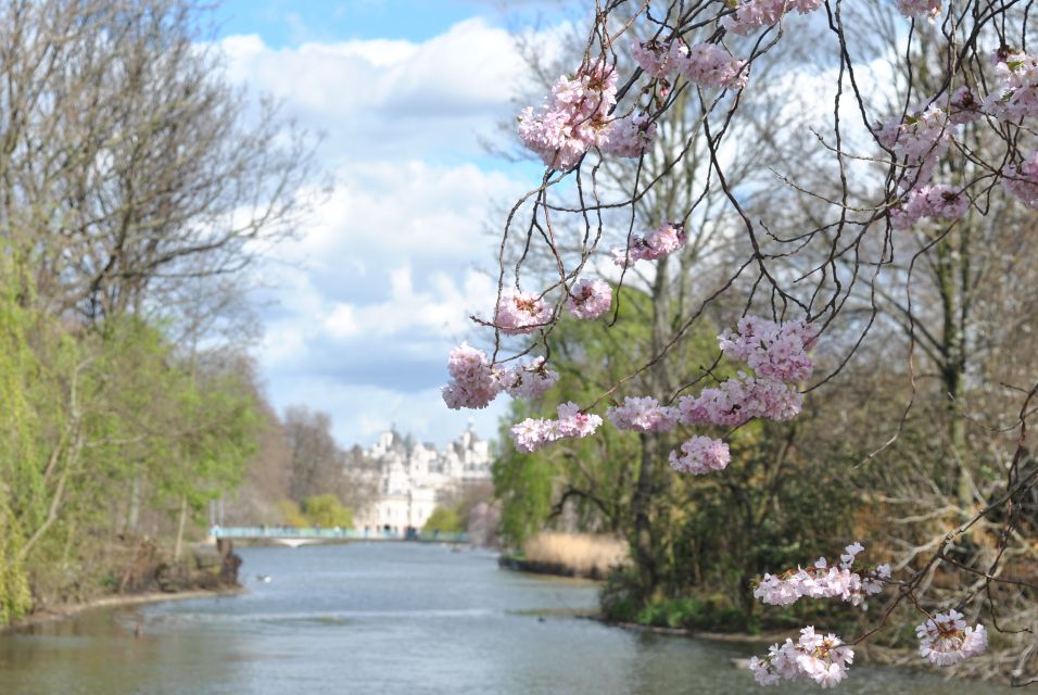 London: 4-Hour Panoramic Tour by Black Taxi - Exploring Kensington Museums