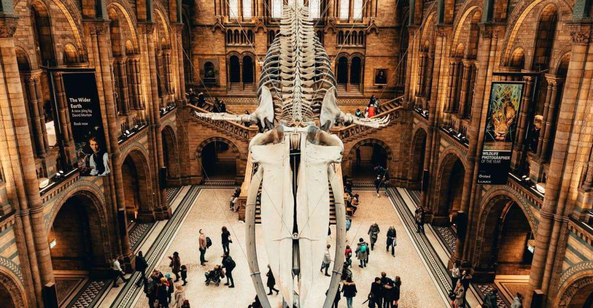 London: Natural History Museum In-App Audio Tour (No Ticket) - Museum Admission Details