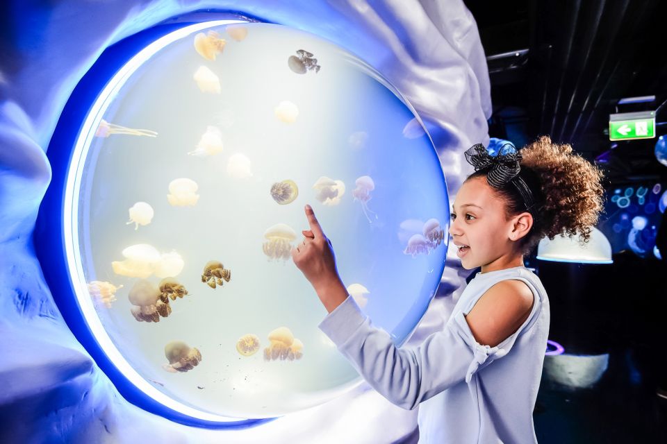 London: SEA LIFE Entry Ticket - Themed Zones and Exhibits