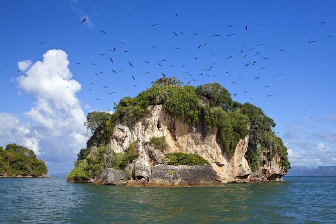 Los Haitises National Park With Montana Redonda, River and Lunch From Punta Cana - Riverboat Tour of Los Haitises