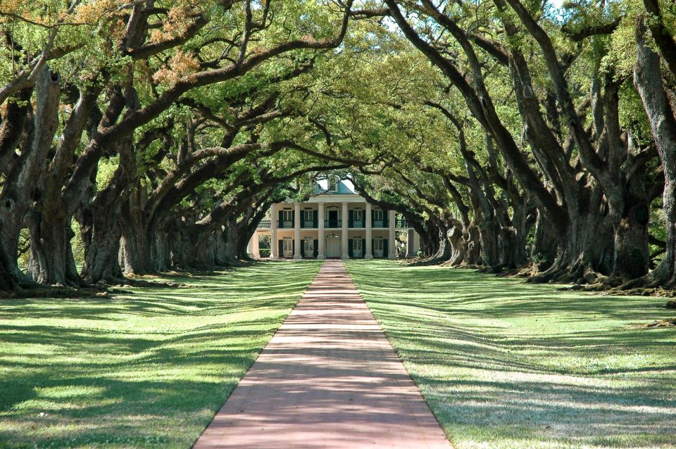 Louisiana: Laura, Oak Alley, or Whitney Plantation Tours - Highlights of Laura Creole Plantation