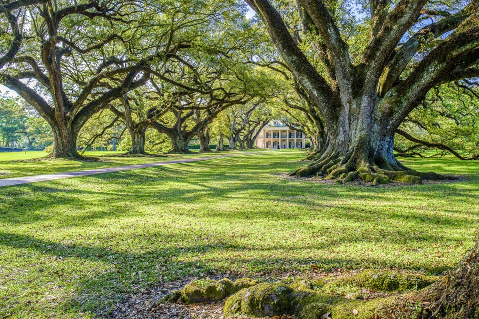 Louisiana Plantation Country Half-Day Tour - Duration and Pricing