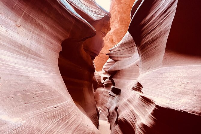 Lower Antelope Canyon and Horseshoe Bend Day Tour With Lunch - Inclusions and Amenities