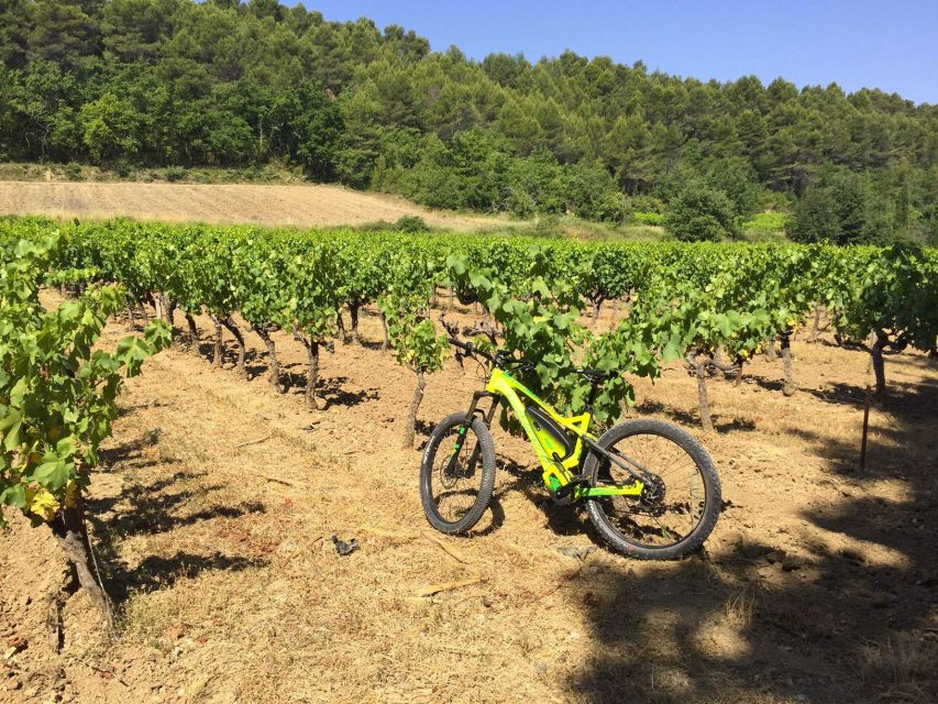 Luberon: Goult Vineyard Bike Tour - Tour Details