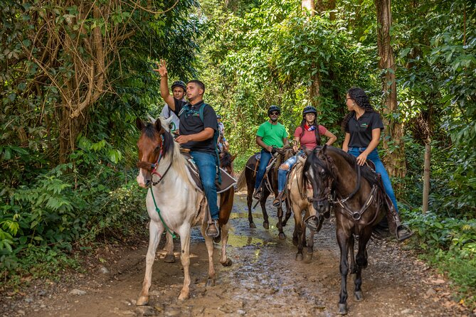 Luquillo Beach Horse Ride From Carabalí Rainforest Adventure Park - Exploring the Mameyes River