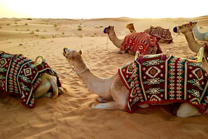 Luxurious Desert Safari & BBQ Feast in Dubais Golden Sands - Comfortable Air-conditioned Vehicle Transport