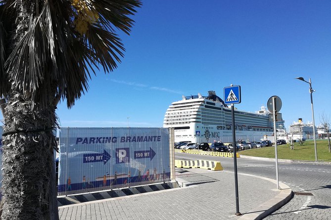 Luxury Private Transfer From Civitavecchia Port to Fiumicino Airport - Vehicle Options and Capacities