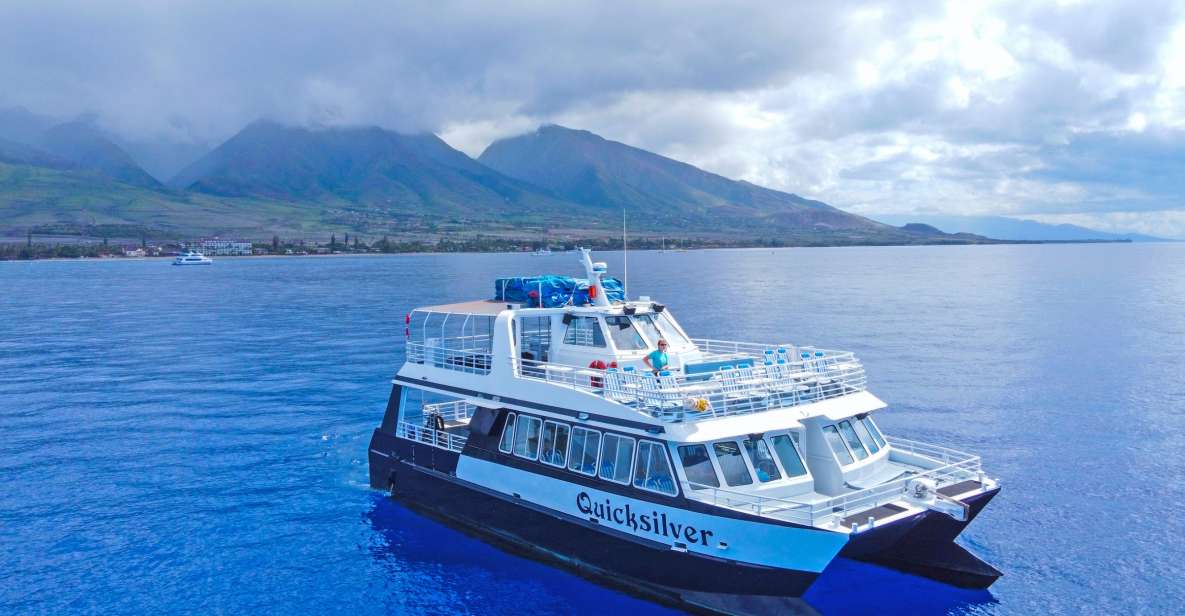 Maalaea Harbor: Whale Watching Catamaran Cruise - Experience and Highlights