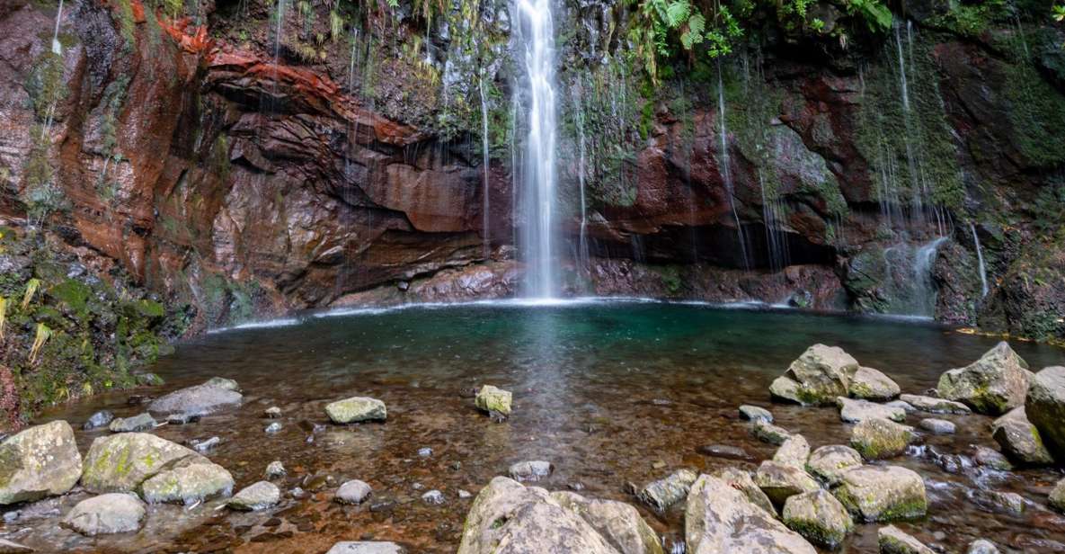 Madeira: 25 Fontes and Risco Levada Hike With Transfers - Itinerary and Logistics