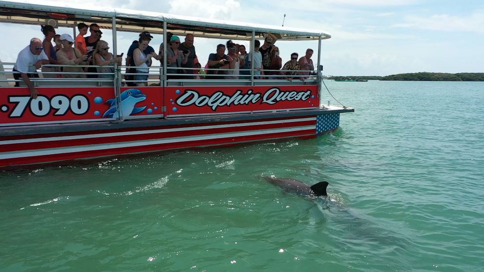 Madeira Beach: Guided Dolphin Watching Eco-Friendly Cruise - Itinerary and Experience