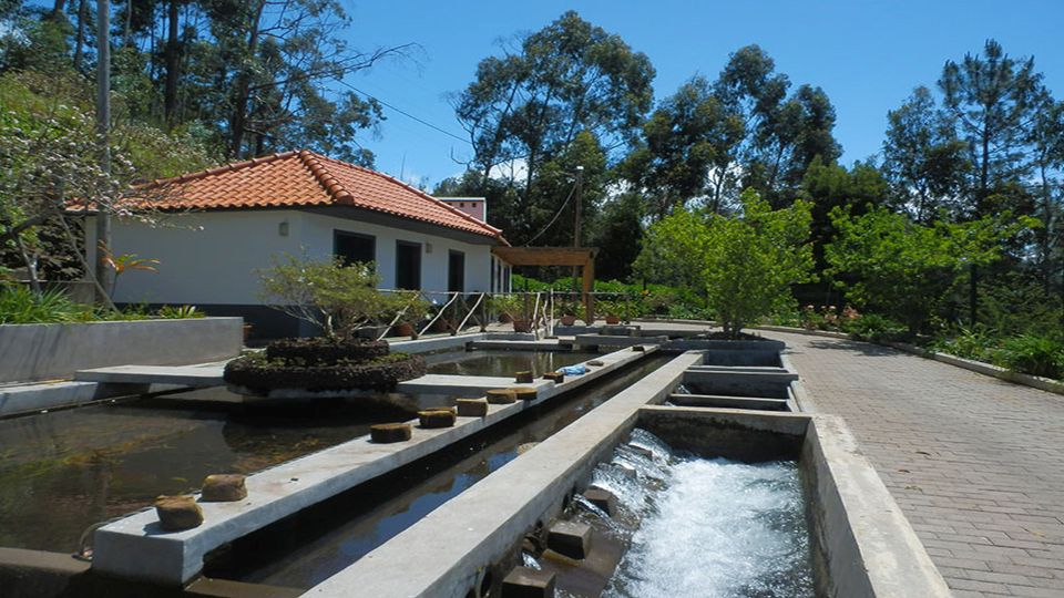 Madeira: Levada Calheta to Prazeres Private Walking Tour - Pickup and Dropoff