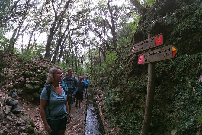 Madeira Levada Walk - Caldeirao Verde - Unique Landscapes and Rare Wildlife