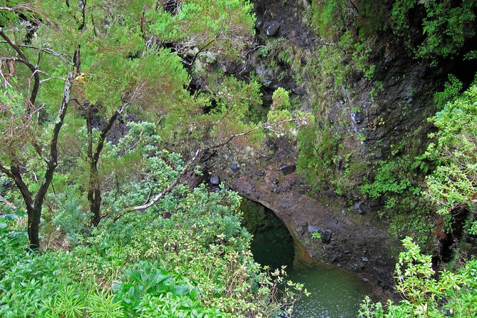 Madeira Levada Walk - Rabacal Lakes and Fountains - Inclusions and Exclusions