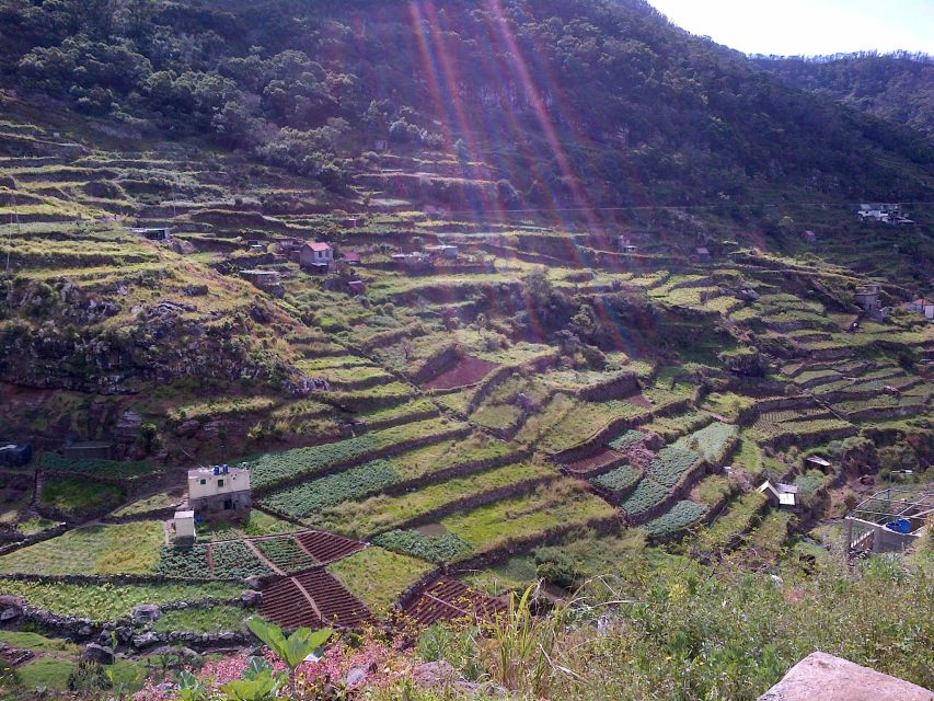 Madeira: Maroços Landscapes 2.5-Hour Guided Walk - Scenic Walk Through Maroços