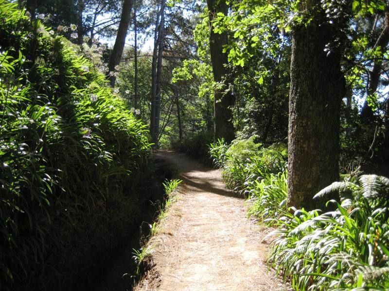 Madeira: Paradise Valley Levada Walk - Pricing and Booking Details