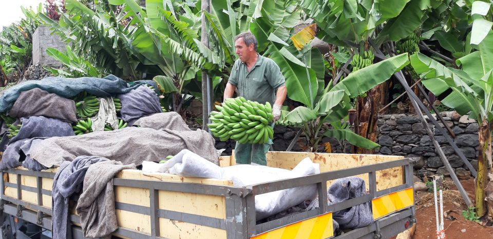 Madeira: Private Banana Farm Tour With Pickup - Inclusions