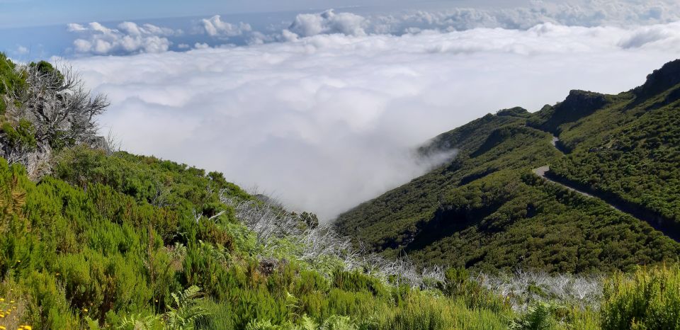 Madeira: Private Guided Achadas Teixeira - Pico Ruivo PR1.1 - Pickup and Transport