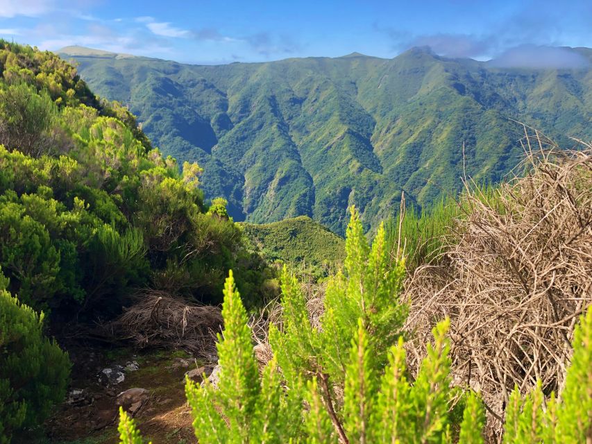 Madeira: Private Guided Vereda Do Fanal Walk PR13 - Hike Duration