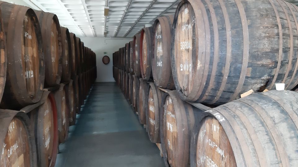 Madeira: Private Half-Day Wine Tasting Tour - Pricing and Booking