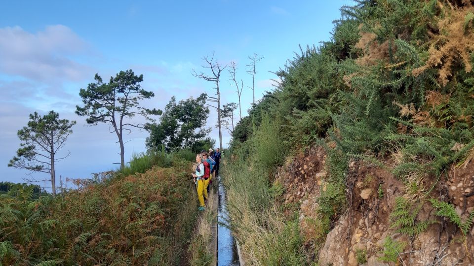 Madeira: Private Levada Ponta Do Pargo Walk - Activity Description