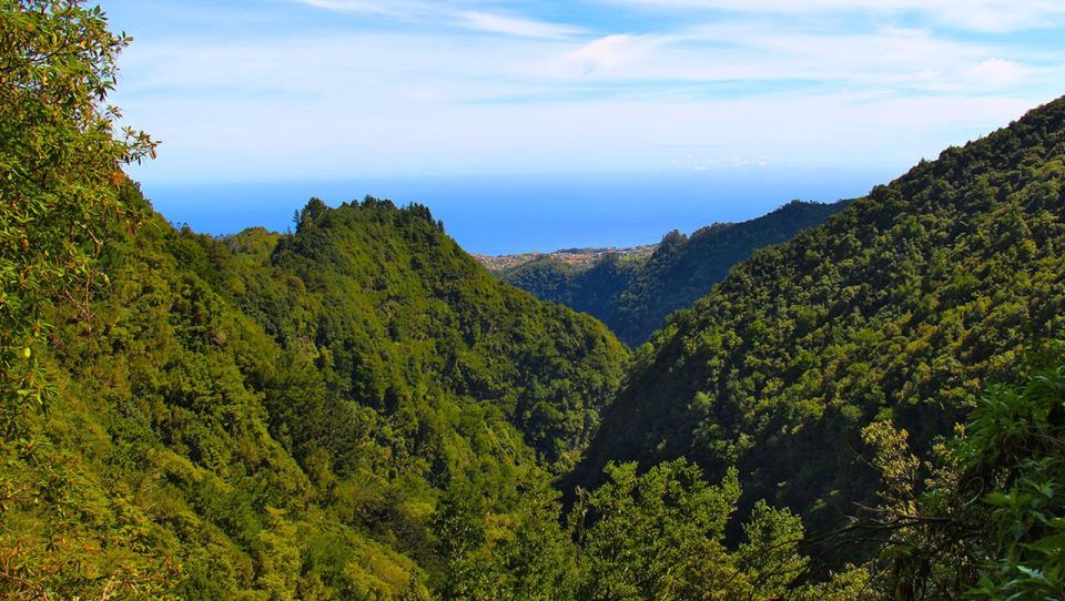 Madeira: Queimadas, Caldeirão Verde, and Levada Walk - Highlight Features